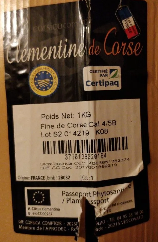Clementine de corse