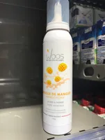 Mousse de mangue