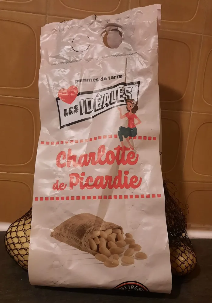 Charlotte de Picardie