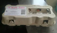 Oeuf frais moyen