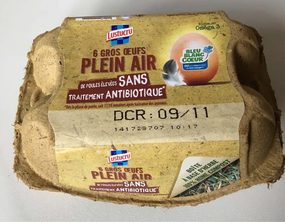 6 oeufs de poules elevees en plein air lustucru gros - categorie a - source naturelle d'omega 3