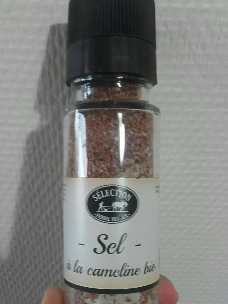 Sel a la cameline bio
