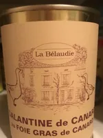 Galantine de canard au foie gras de canard