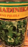 Anamadinika Codal