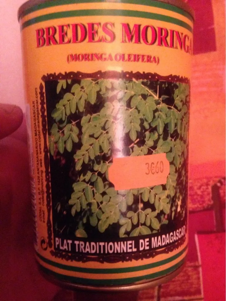 Bredes moringa