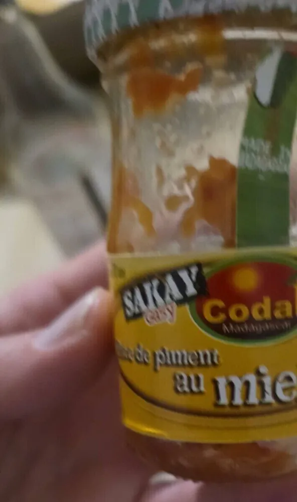 Sakay Gasy