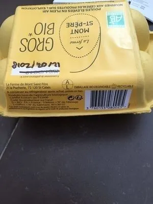 Gros oeufs bio