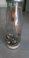Mélange pour Mojito