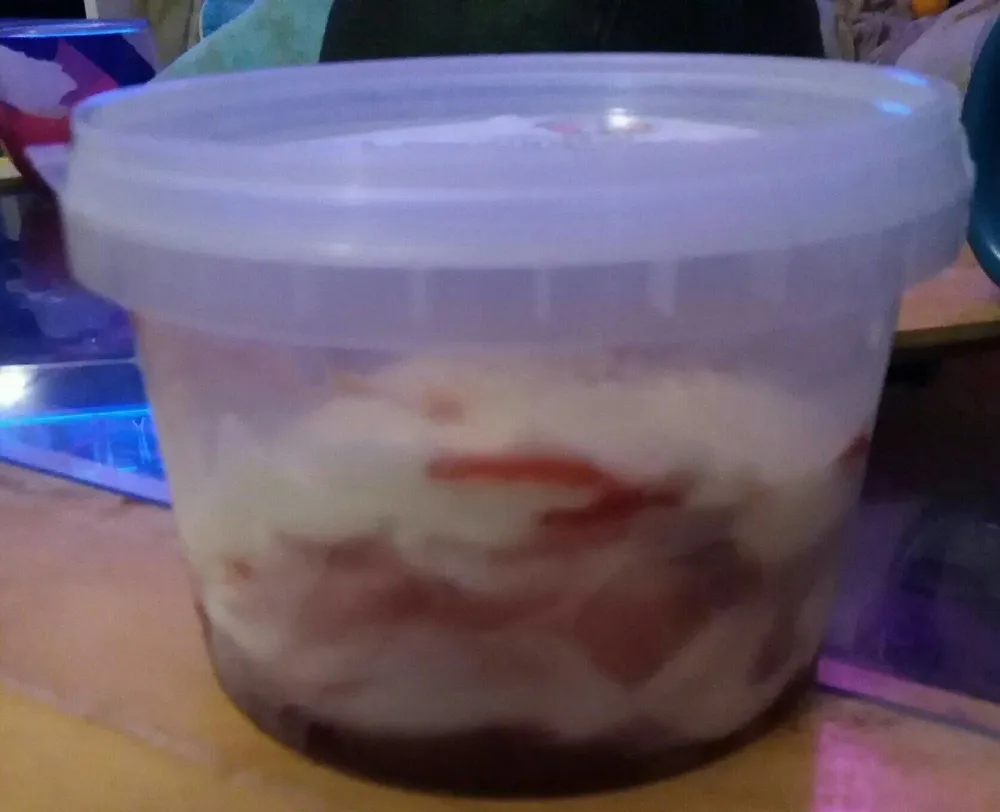 Pot de glace Panna cotta fruit rouge