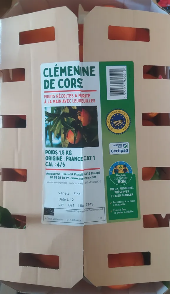 Clémentine de Corse catégorie 1, Calibre 4/5