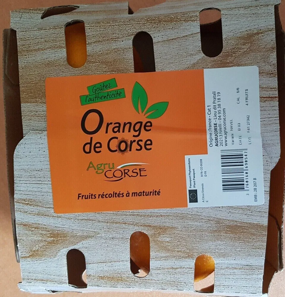 Orange de Corse
