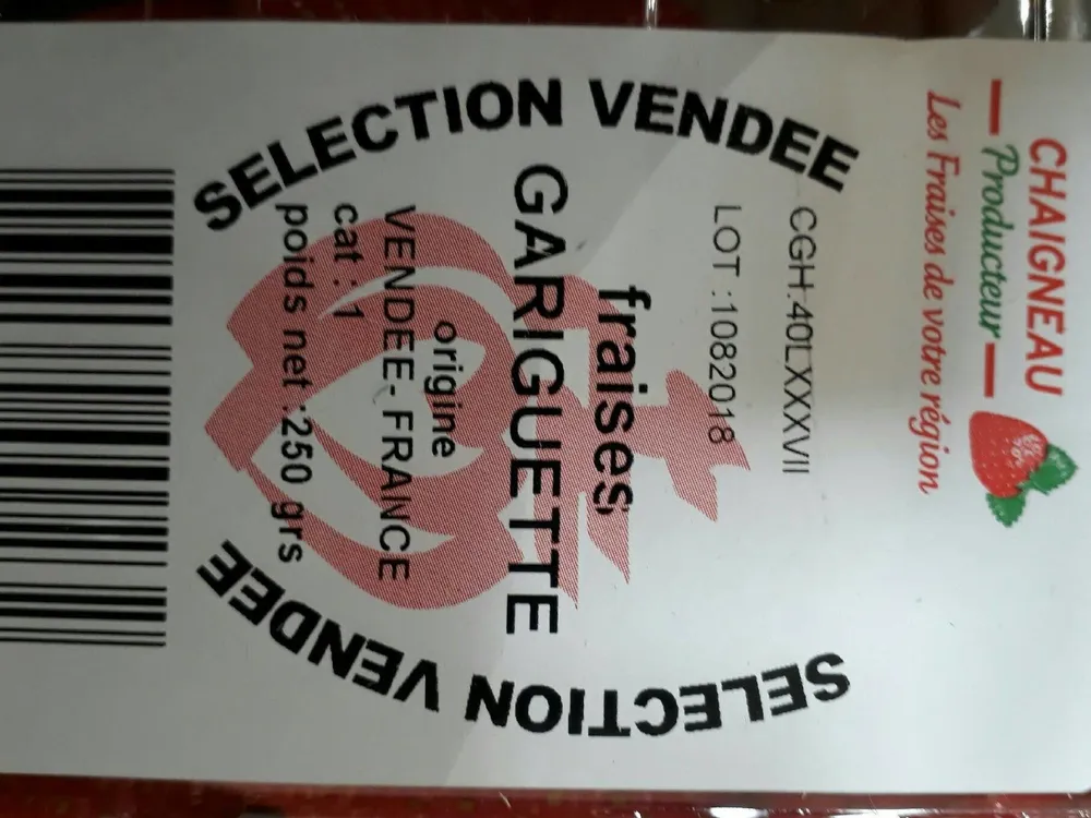Fraise de Vendée