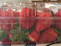 Fraise rondes (vedee)