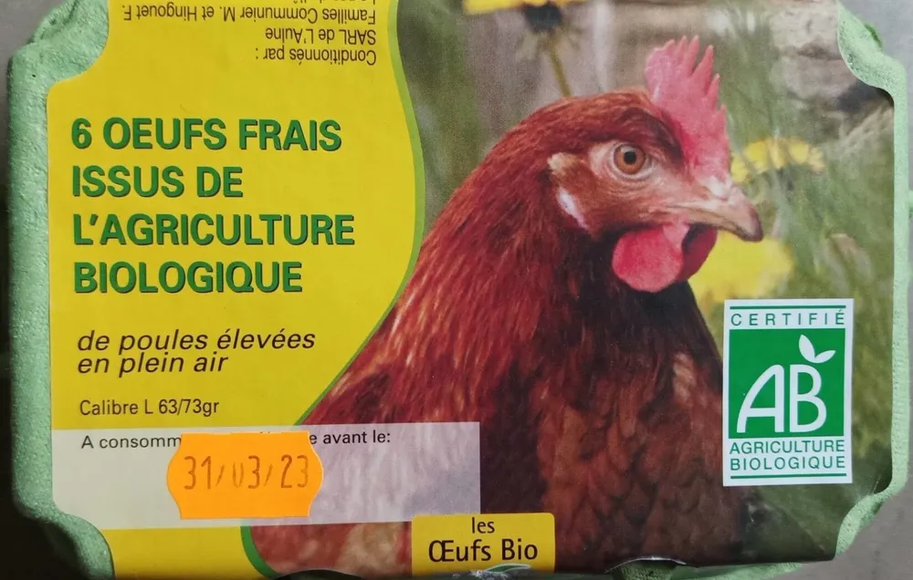 6 Oeufs Frais Issus de L'agriculture biologique