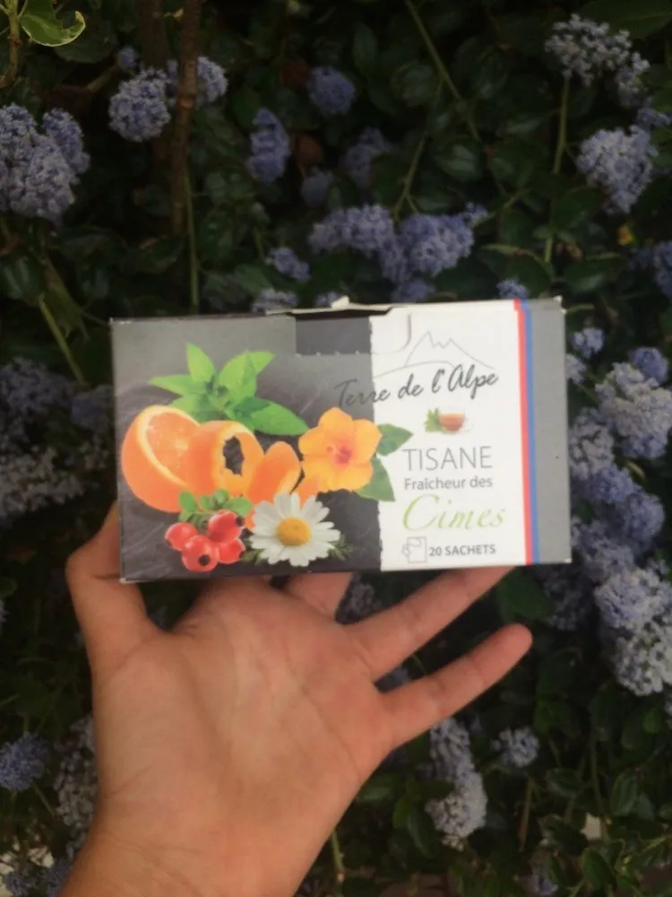 TISANE fraîcheur des Cimes