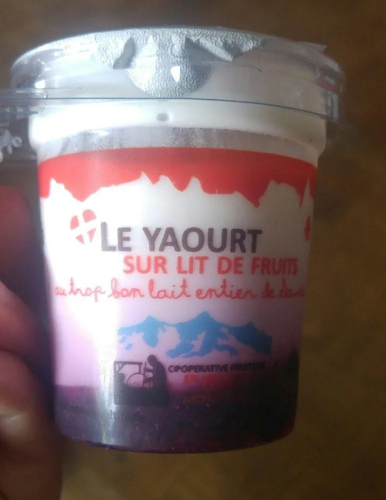Le yaourt  savoyard myrtille
