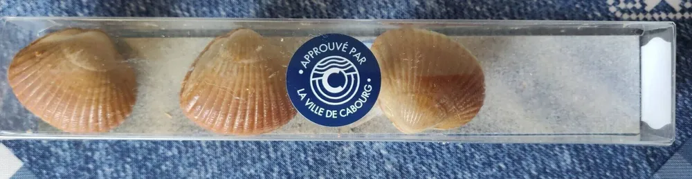 Les coques de Cabourg