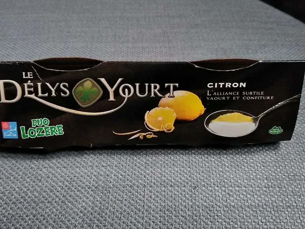 Dely yourt