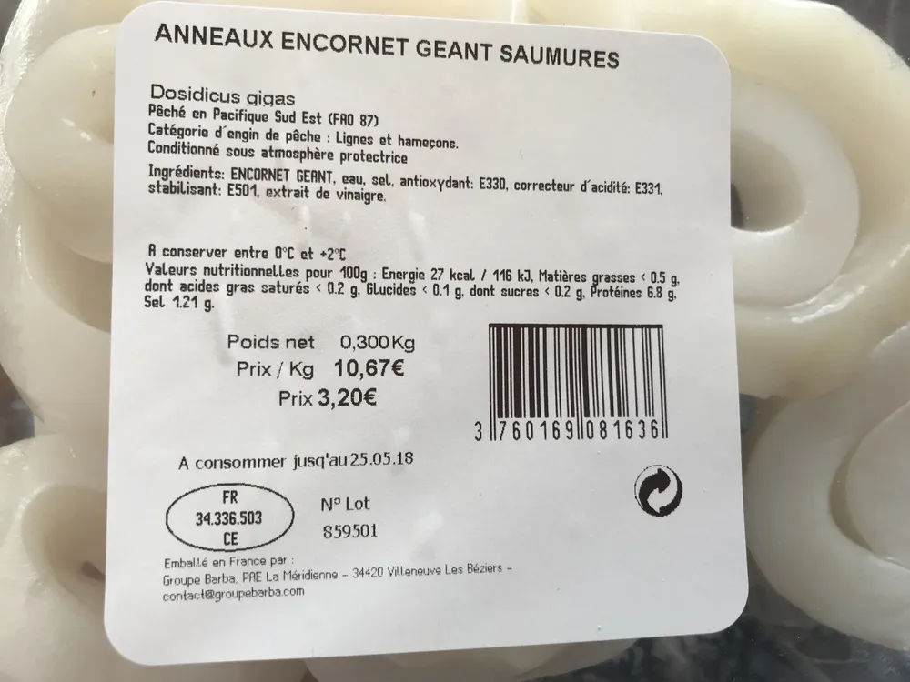Anneau Encornet Géant Saumurés