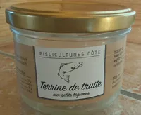 Terrine de truite aux petits légumes