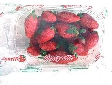 Gariguette