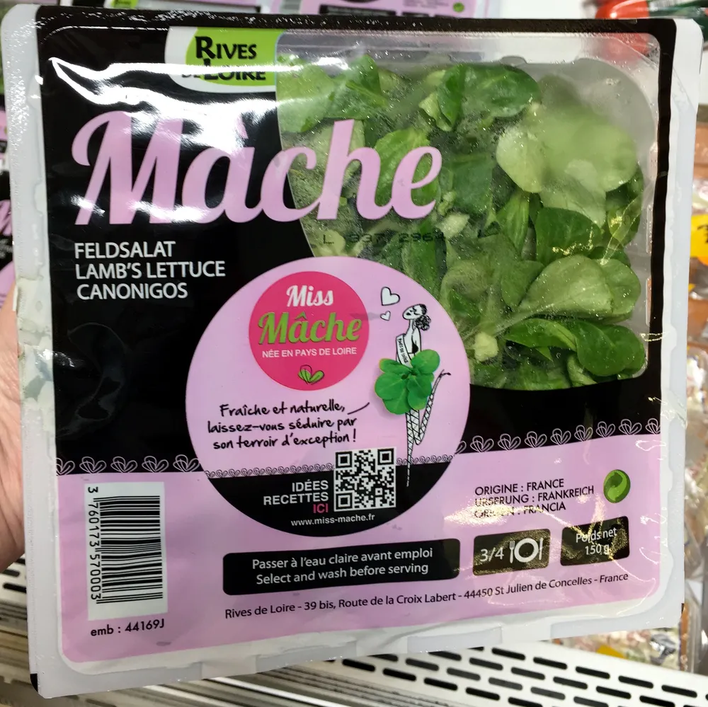 Mâche