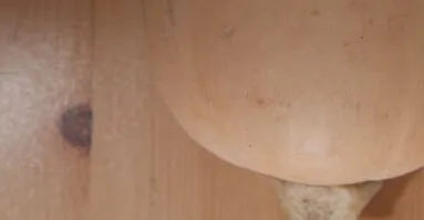 Butternut