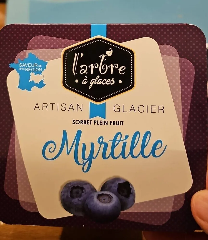 Sorbet plein fruit myrtille