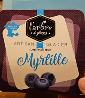 Sorbet plein fruit myrtille
