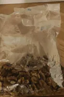 Cerneaux de noix
