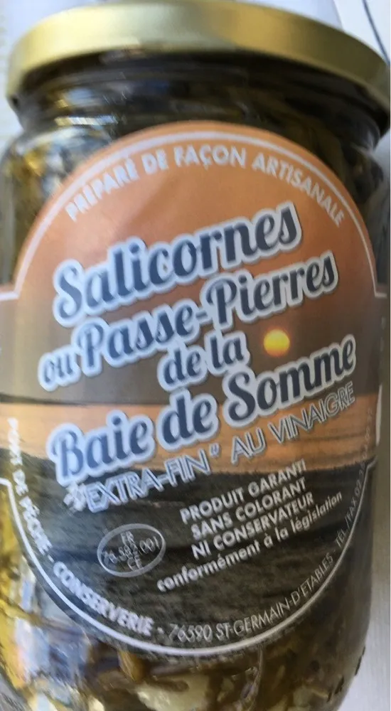 Salicornes