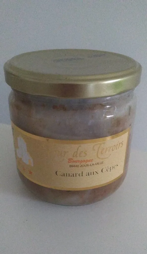 Canard aux cèpes