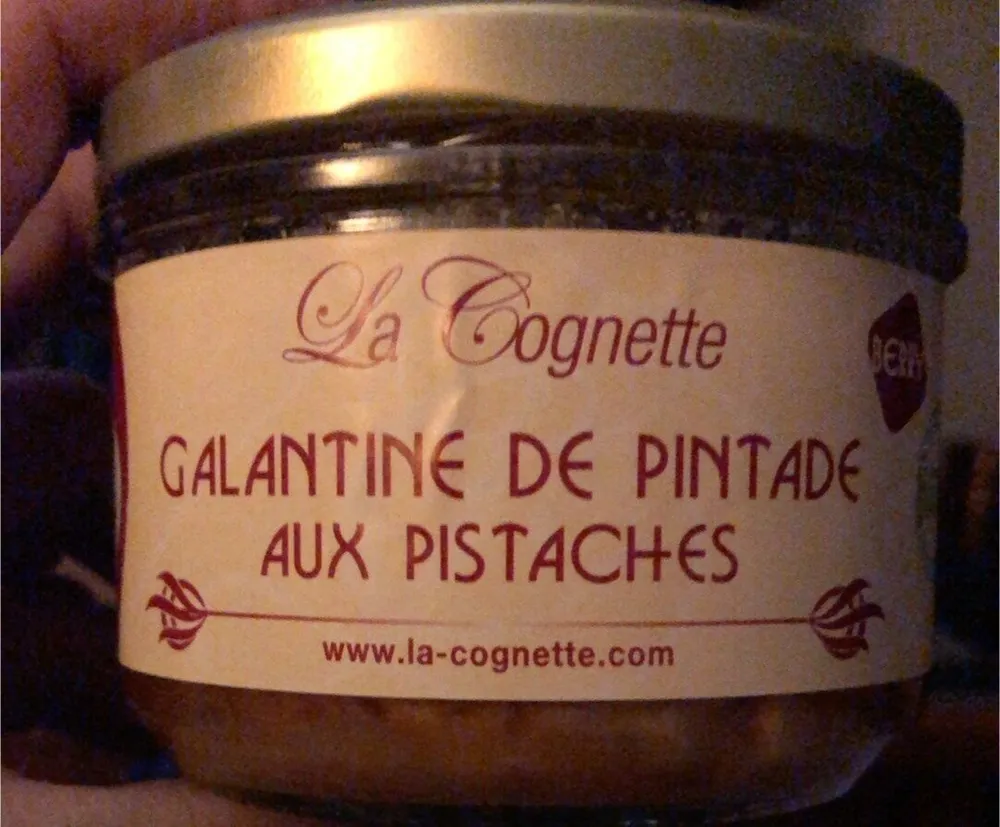 Galantine de pintade aux pistaches