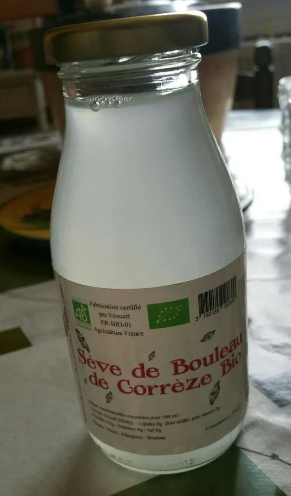 Sève de bouleau de Corrèze bio