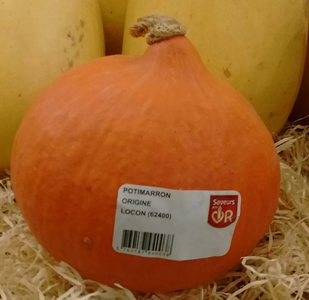 Potimarron