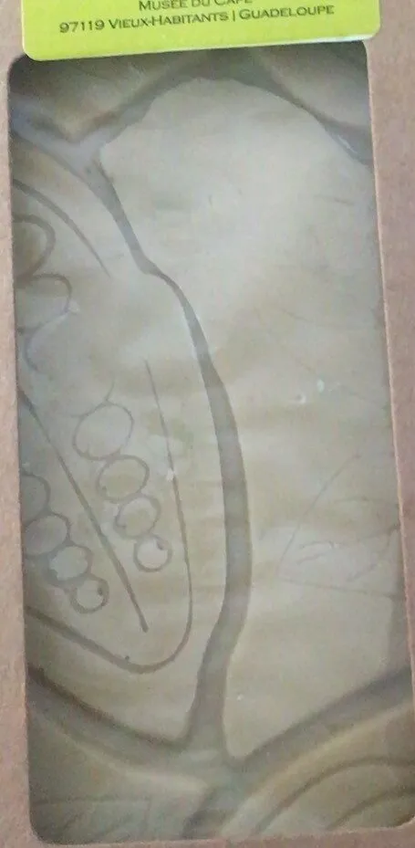 Tablette de chocolat blanc nougatine pistache