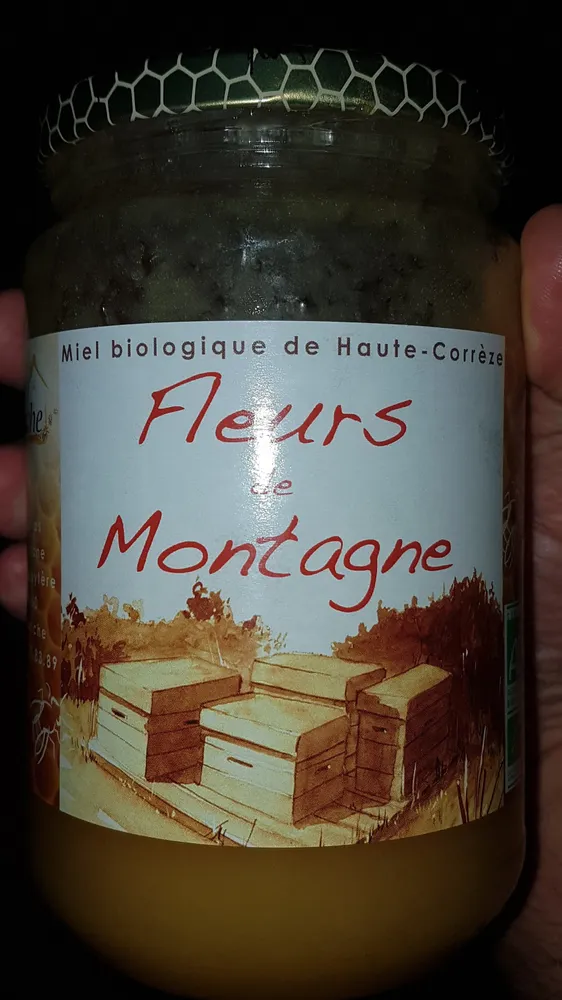 Fleurs de montagne