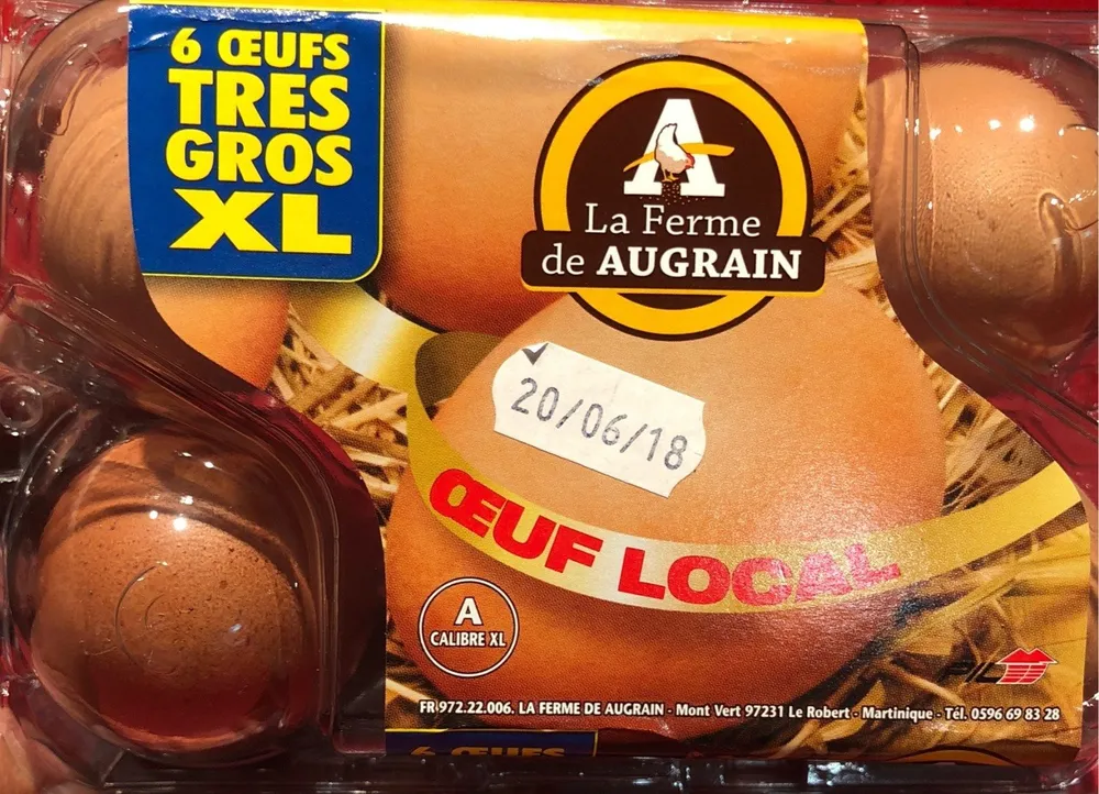 6 oeufs TRES GROS XL