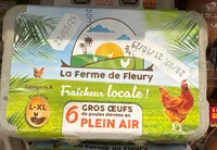 6 GROS OEUFS de poules élevées en PLEIN AIR