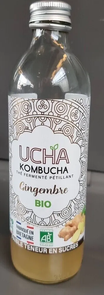 Kombucha Gingembre Bio