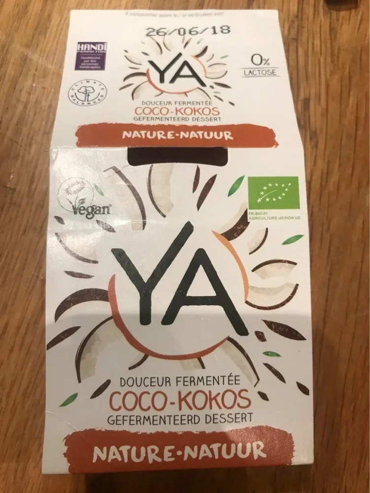Dessert végétal fermenté au lait de coco