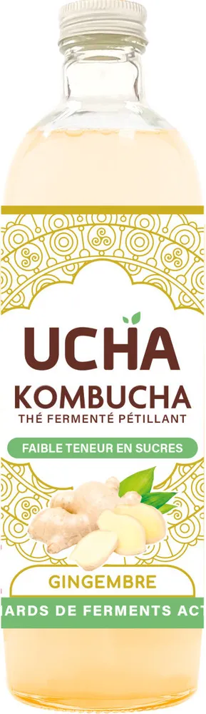 Kombucha Energy Gingembre