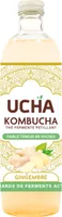 Kombucha Energy Gingembre