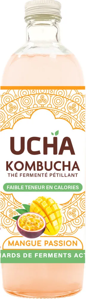 Kombucha mangue passion