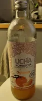 kombucha agrumes
