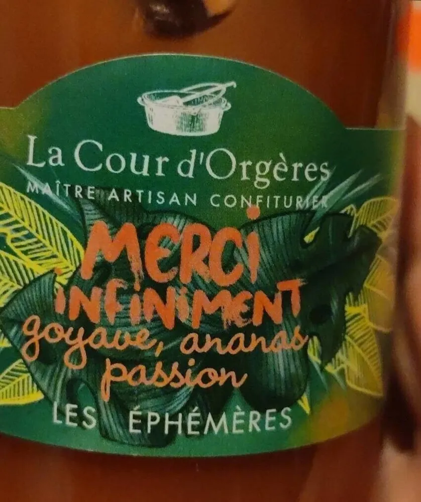 La cour d'orgėre