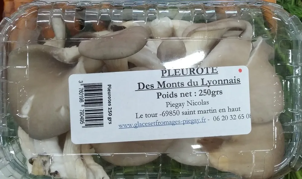 Pleurote des Monts du Lyonnais