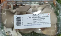 Pleurote des Monts du Lyonnais