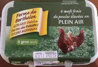 6 Œufs Frais de Poules Élevées en Plein Air