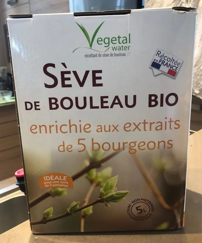 Sève de bouleau